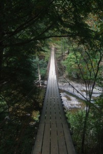 Swinging bridge at Falls Creek Falls in Tennesee
