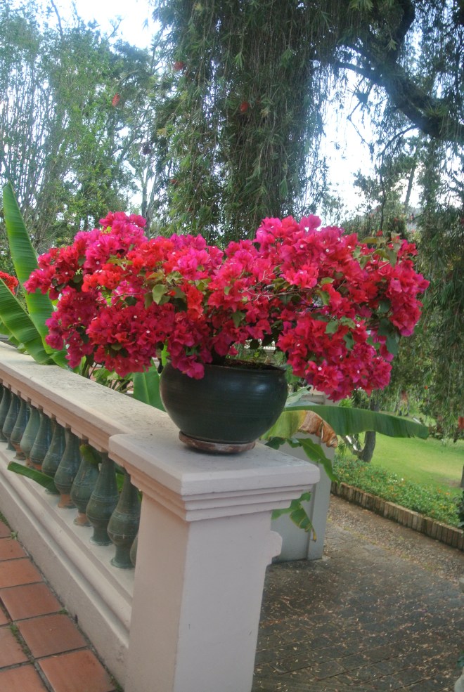 Exquisite landscaping and flowers of many varieties adorn the grounds